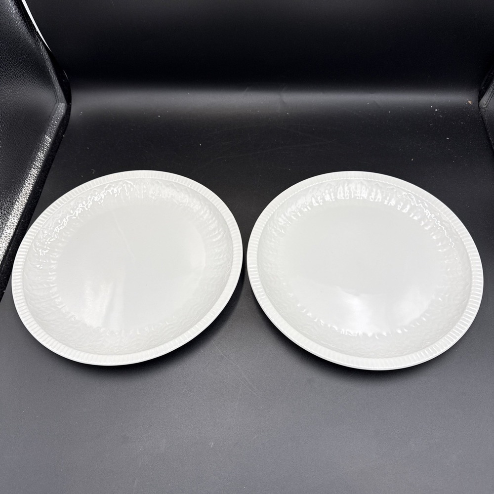 (2) pontesa spain Dinner Plate White Leaf Pattern 9 7/8"